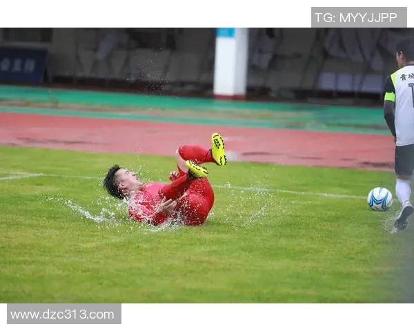 新浪微博足球明星汇聚球场魅力展现运动精神与个人风采 新浪微博足球明星汇聚球场魅力展现运动精神与个人风采