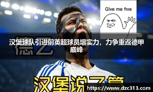 汉堡球队引进前英超球员增实力，力争重返德甲巅峰