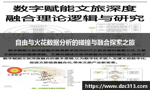 自由与火花数据分析的碰撞与融合探索之旅